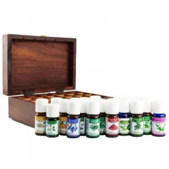 2 OLI ESSENZIALI AUMENTO DELLA CONCENTRAZIONE PER DIFFUSORE DI AROMI 10ML