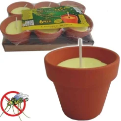 6 PEZZI CITRONELLA IN COCCIO VASETTO DI TERRACOTTA DIAMETRO 7 CM ANTIZANZARE