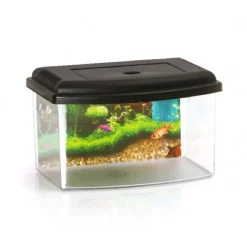 ACQUARIO RETTANGOLARE IN PLASTICA RIGIDA 5,5 LT CON COPERCHIO 28 X 20 X 17 CM