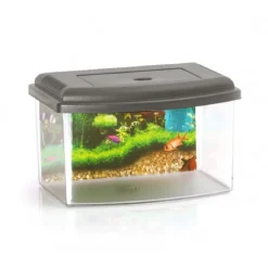 ACQUARIO RETTANGOLARE IN PLASTICA RIGIDA 5,5 LT CON COPERCHIO 28 X 20 X 17 CM