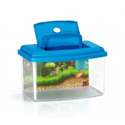 ACQUARIO RETTANGOLARE IN PLASTICA RIGIDA 3 LITRI CON COPERCHIO 22 X 16 X 14 CM