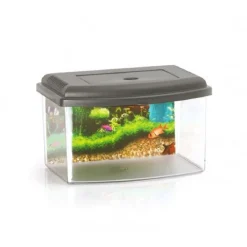 ACQUARIO RETTANGOLARE IN PLASTICA RIGIDA 3 LITRI CON COPERCHIO 22 X 16 X 14 CM