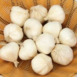 AGLIO CIPOLLA ARTIFICIALE 20 PEZZI CIRCA 4CM FINTA REALISTICI DECORAZIONE CASA