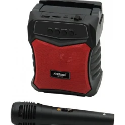 ALTOPARLANTE BLUETOOTH PORTATILE KARAOKE CON MICROFONO CABLATO RADIO 5WATT Q-S53