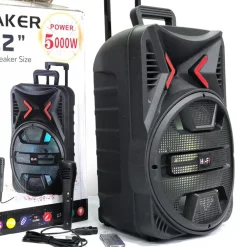 ALTOPARLANTE PORTATILE BLUETOOTH KARAOKE 5000 WATT CON MICROFONO WIRELESS Q1200