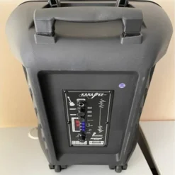 ALTOPARLANTE PORTATILE BLUETOOTH KARAOKE 5000 WATT CON MICROFONO WIRELESS Q1200