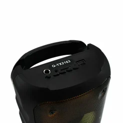 ALTOPARLANTE WIRELESS BLUETOOTH 5W CON RADIO DURATA BATTERIA FINO 3 ORE Q-YX2163