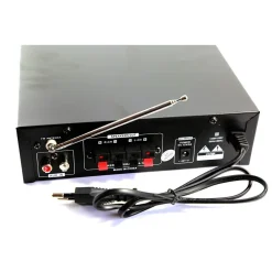 AMPLIFICATORE AUDIO 12V 220V USB Sd 2 MICROFONI MP3 FM CASA AUTO BLUETOOTH BT138