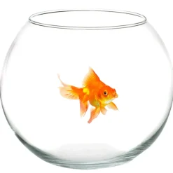 AMPOLLA BOCCIA PER PESCI IN VETRO 12 CM ACQUARIO PESCE ROSSO CENTROTAVOLA