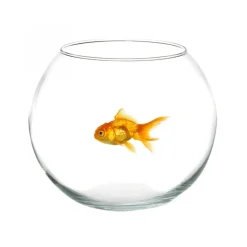 AMPOLLA BOCCIA PER PESCI IN VETRO 35 CM ACQUARIO PESCE ROSSO CENTROTAVOLA