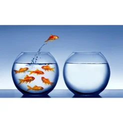 AMPOLLA BOCCIA PER PESCI IN VETRO 30 CM ACQUARIO PESCE ROSSO CENTROTAVOLA