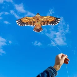 AQUILONE AQUILA GIOCO ESTERNO SPIAGGIA FACILE DA PILOTARE VARI COLORI 135x60 CM