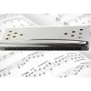 ARMONICA A BOCCA DIATONICA 24 FORI BLUES HARP CHIAVE REED ARGENTO IN DO E SOL +