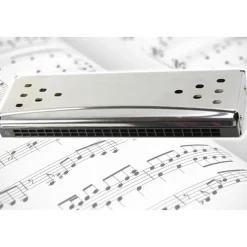 ARMONICA A BOCCA DIATONICA 24 FORI BLUES HARP CHIAVE REED ARGENTO IN DO E SOL +