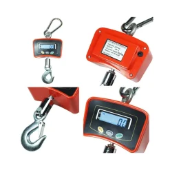 BILANCIA DA GRU 200 KG CON GANCIO ACCIAIO INOX BILANCIA INDUSTRIALE