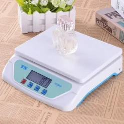 BILANCIA ELETTRONICA DIGITALE PROFESSIONALE MIN 1 GR MAX 25KG CUCINA LABORATORIO
