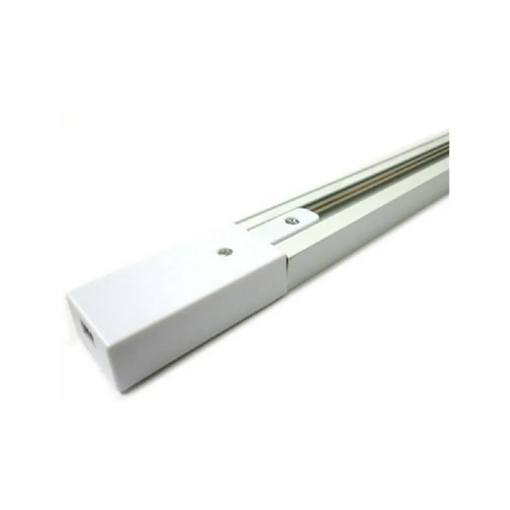 BINARIO 2MT ELETTRIFICATO 2POLI RINFORZATO MONOFASE BIANCO FARO A PISTA PISTA-2B