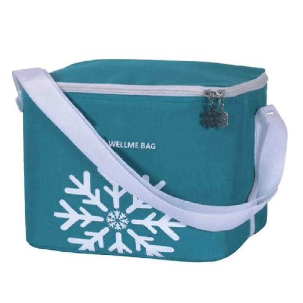 BORSA TERMICA FRIGO 25LT 36 X 25 X 28CM PORTA ALIMENTI PRANZO SPIAGGIA MARE 12836