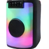 CASSA ALTOPARLANTE SPEAKER CON MICROFONO PER KARAOKE GIOCHI LUCE LED USB AUX 4.0