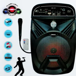 CASSA AMPLIFICATA KARAOKE PORTATILE CON MICROFONO RADIO DJ Bluetooth TELECOMANDO
