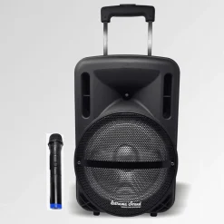 CASSA AUDIO A BATTERIA RICARICABILE TROLLEY WOOFER 10" USB EXTREME SOUND MOVE 10