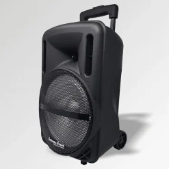 CASSA AUDIO A BATTERIA RICARICABILE TROLLEY WOOFER 10