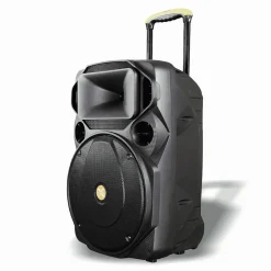 CASSA AUDIO PORTATILE BATTERIA WOOFER 15" USB MP3 MICROFONO EXTREME SOUND VAN-XL