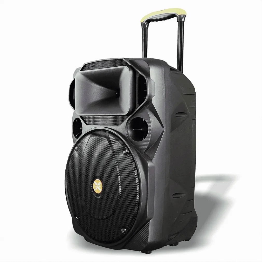 CASSA AUDIO PORTATILE BATTERIA WOOFER 15" USB MP3 MICROFONO EXTREME SOUND VAN-XL