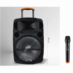 CASSA AUDIO PORTATILE BATTERIA WOOFER 15" USB MP3 MICROFONO EXTREME SOUND VAN-XL