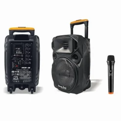 CASSA PORTATILE A TROLLEY 600 W BLUETOOTH USB RGB CON MICROFONO WIRELESS VAN-M