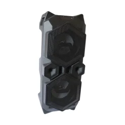 CASSA SPEAKER FM BLUETOOTH RICARICABILE SD USB AUX 2 PORTATILE MICROFONO 2511BT