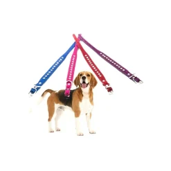 COLLARE PER CANE CANI CON STRASS E BRILLANTINI BRILLANTINATO TAGLIA PICCOLA