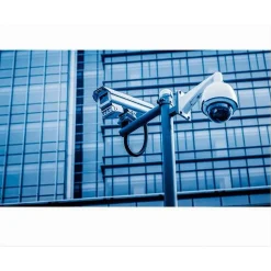 CONNETTORE BNC A T MASCHIO A DOPPIA FEMMINA ADATTATORE VIDEOSORVEGLIANZA MAXTECH C-BNC09