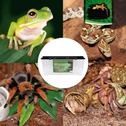 CONTENITORE BOX 17,5X10,5X11,5CM TERRARIO ACQUARIO PESCI ANIMALI IN PLASTICA COD. 204A