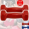 COPPIA DI MANUBRI IN VINILE DA 2,5 KG OGNUNO MANUBRI PESI PALESTRA FITNESS SPORT