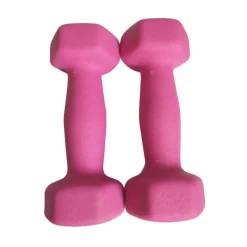 COPPIA PESI MANUBRI MANUBRIO PALESTRA 1+1KG FITNESS BILANCIERI ESERCIZI CUORE