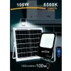 FARETTO FARO LED SOLARE 100 WATT CON TELECOMANDO IP65 LUCE FREDDA 6500K FSO-100W