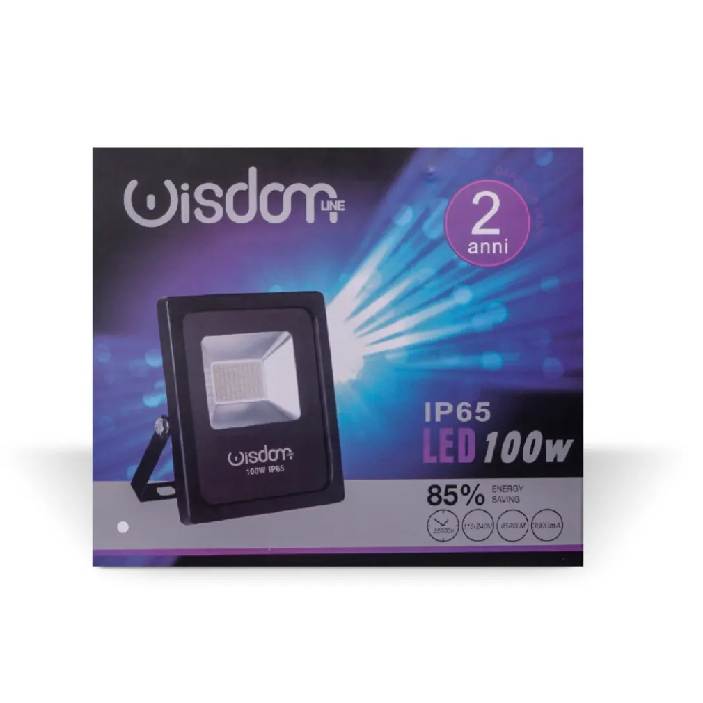 FARO PROFESSIONALE A LED 5730 PER ESTERNO IP65 IMPERMEABILE WISDOM 100W SLIM