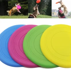 FRISBEE FRISBI GIOCO PER CANI GIOCO CANI PER SPIAGGIA CAMPAGNA COLORATO 20 cm