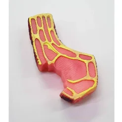 GIOCO BISTECCA ROSA SUONO STRIDULO IN PLASTICA CANI CANE MASTICARE DENTI ANIMALI