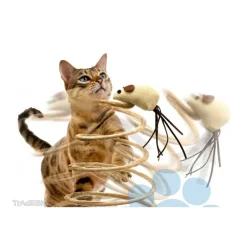 GIOCO CON PUPAZZO TOPO PALESTRA PER GATTO UNGHIE TIRAGRAFFI BASE MOLLA