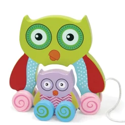 GIOCO GUFETTO LEGNO TRAINABILE GUFO GIOCATTOLO PER BAMBINI DA TIRARE 18CM VERDE