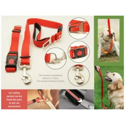 GUINZAGLIO CINTURA DI SICUREZZA PER CANI CANE + COLLARE REGOLABILE X SEDILE AUTO