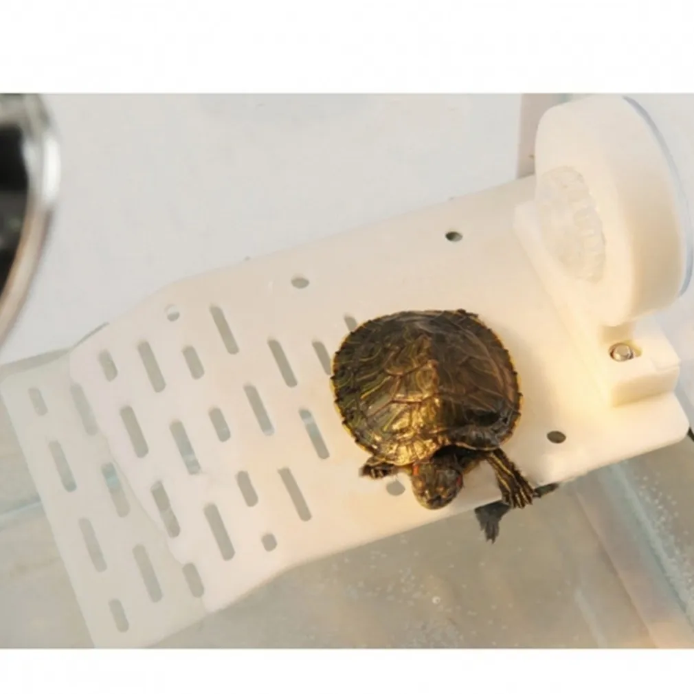 ISOLA GALLEGGIANTE PLASTICA CON VENTOSA PIATTAFORMA TARTARUGHE RETTILI ACQUARIO