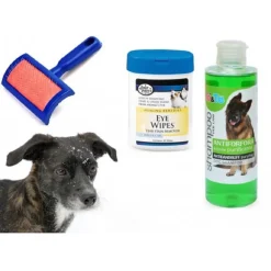KIT PULIZIA CANI SHAMPOO AZIONE PURIFICANTE SALVIETTINE SPAZZOLA CARDATORE ANTIFORFORA