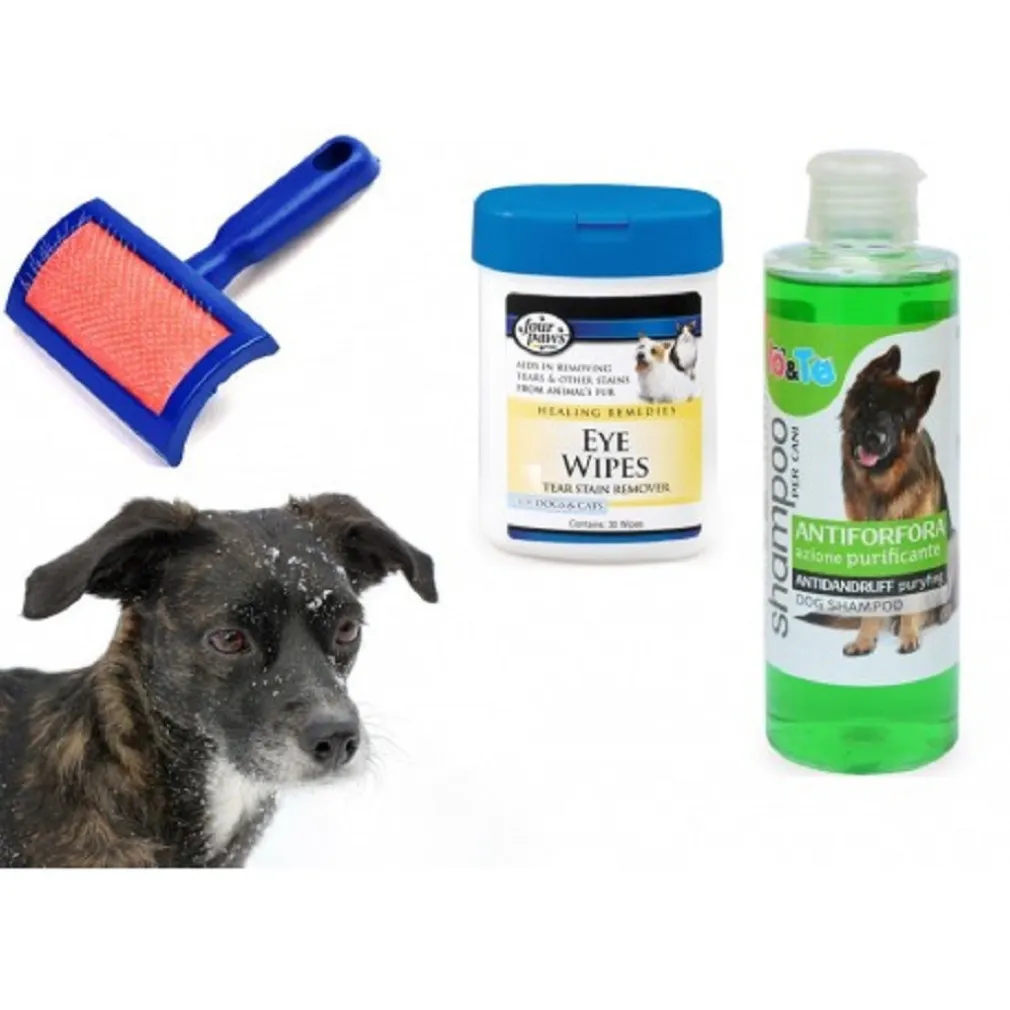 KIT PULIZIA CANI SHAMPOO AZIONE PURIFICANTE SALVIETTINE SPAZZOLA CARDATORE ANTIFORFORA