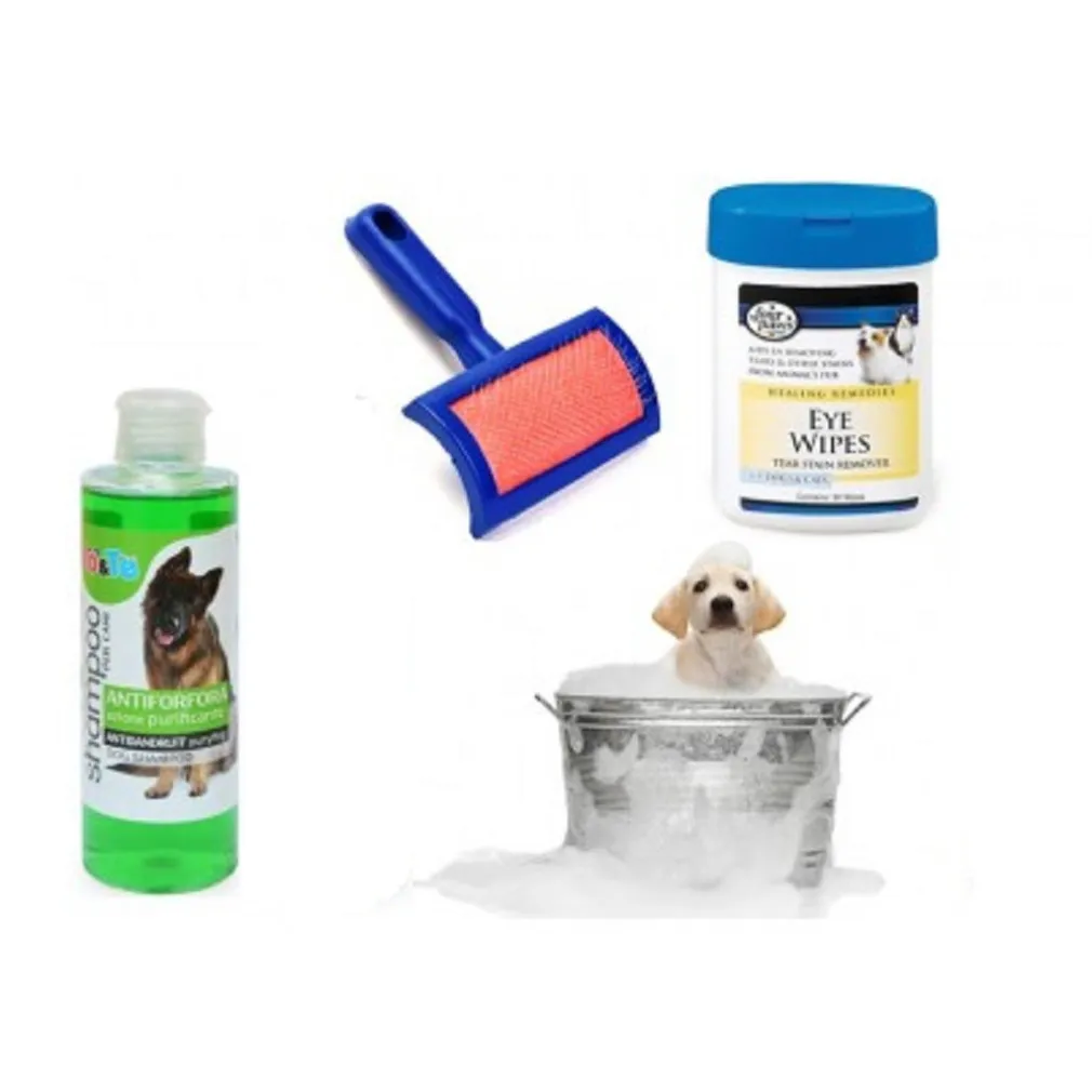 KIT PULIZIA CANI SHAMPOO AZIONE PURIFICANTE SALVIETTINE SPAZZOLA CARDATORE ANTIFORFORA
