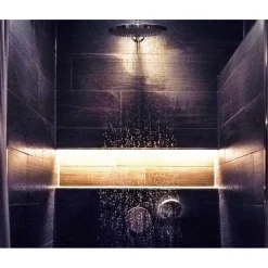 KIT SMART STRISCIA LED IP68 COB NEON FLEX DIMMERABILE 24V CENTRALINA VOCALE WIFI