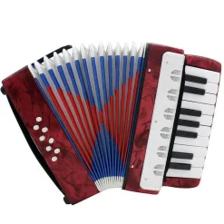 LA MIA PRIMA FISARMONICA 17 TASTI NOTE 8 BASSI STRUMENTI MUSICALI PER BAMBINI