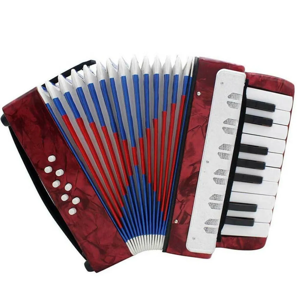 LA MIA PRIMA FISARMONICA 17 TASTI NOTE 8 BASSI STRUMENTI MUSICALI PER BAMBINI